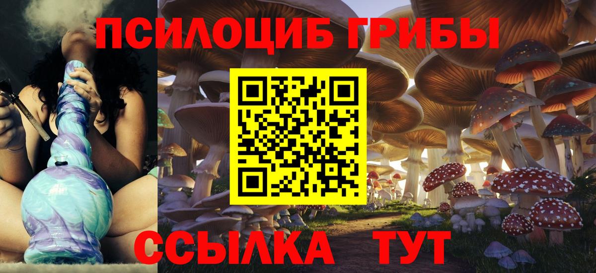 Галлюциногенные грибы GOLDEN TEACHER Гуково